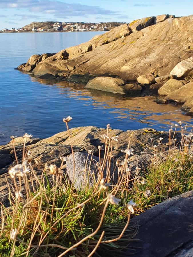 Skaergardsidyll Pa Bjoerkoe Med Gangavstand Till Havet Skarvik Exterior foto